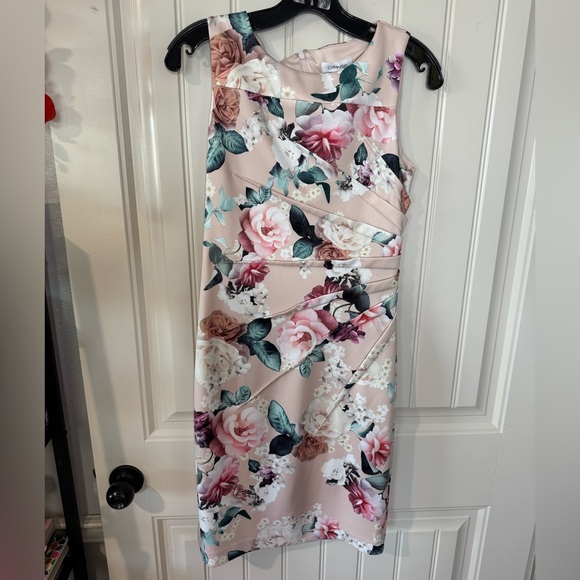 CALVIN KLEIN 🌸 Sleeveless Floral Sheath Dress in Blush 💖 (Size 4) - Picture 3 of 10